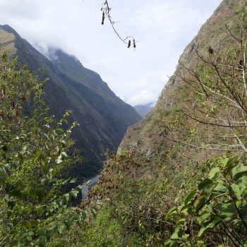 Inca Jungle Trail